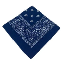 Bandana Aviateur Classique 40 Bandana Aviateur Classique -Esprit Aviation Hip Hop Bandana 23 Styles Man Women Fashion Outdoor Headbands Hair Band Wrist Wraps Hair Scarves High Quality Hair Accessories Esprit Aviation 1661286159