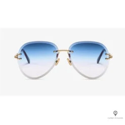 Lunette De Soleil Aviateur Vue Homme